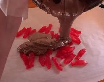 Chocolate Covered Swedish Fish Bark